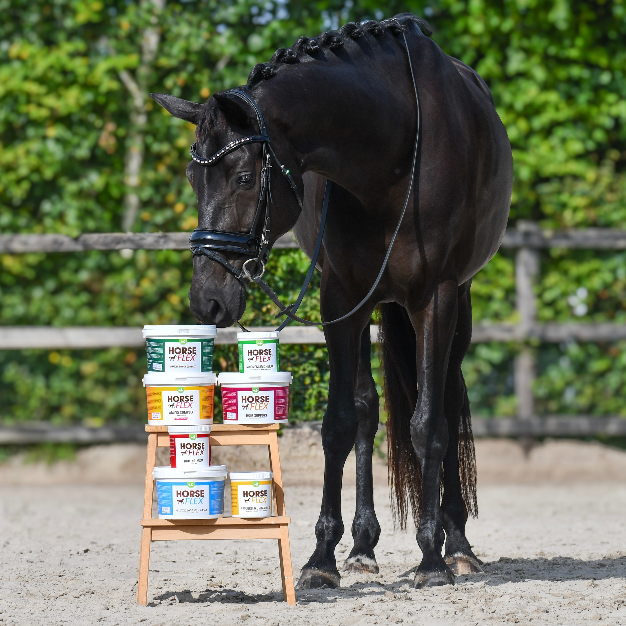 All about supplements