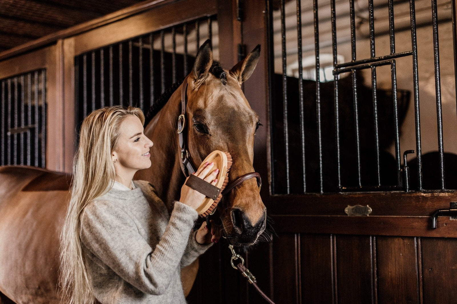 Grooming Deluxe: functional and elegant