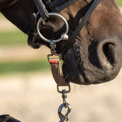 Imperial Riding Lunge Bridle Bit IRH Cappuccino Imperial Riding Lunge Bridle Bit IRH Cappuccino