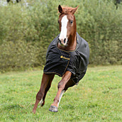 Bucas Irish Turnout 150g Black/Gold Bucas Irish Turnout 150g Black/Gold