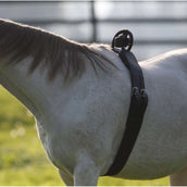 Birth Alarm Anti-Roll Girth Complete Birth Alarm Anti-Roll Girth Complete