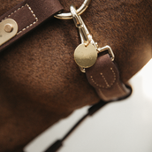 Kentucky Name Plate Gold Kentucky Name Plate Gold