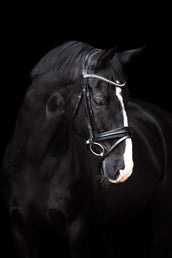 Imperial Riding Bridle IRHFria Trens Black Imperial Riding Bridle IRHFria Trens Black