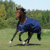 Bucas Irish Turnout Extra 300g Navy/Gold Bucas Irish Turnout Extra 300g Navy/Gold