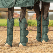 Agradi Horse Transport Protectors 1200D Green Agradi Horse Transport Protectors 1200D Green