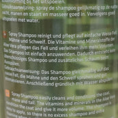 Rapide Shampoo Rapide Shampoo