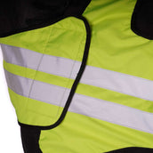 Harry's Horse Exercise Sheet Reflective Reflective Harry's Horse Exercise Sheet Reflective Reflective