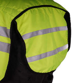 Harry's Horse Exercise Sheet Reflective Reflective Harry's Horse Exercise Sheet Reflective Reflective