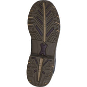 Ariat Stable Boots Telluride II H2O Darkbrown Ariat Stable Boots Telluride II H2O Darkbrown