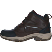 Ariat Stable Boots Telluride II H2O Darkbrown Ariat Stable Boots Telluride II H2O Darkbrown