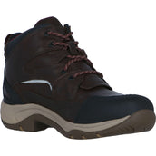 Ariat Stable Boots Telluride II H2O Darkbrown Ariat Stable Boots Telluride II H2O Darkbrown