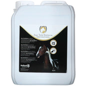 Excellent Total Balance Excellent Total Balance