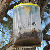 Insective Fly bag Insective Fly bag