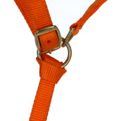 Norton Foal Halter with a Line Orange Norton Foal Halter with a Line Orange