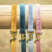 Kentucky Dog Leash Velvet Emerald Kentucky Dog Leash Velvet Emerald