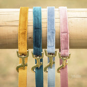 Kentucky Dog Leash Velvet Old Rose Kentucky Dog Leash Velvet Old Rose