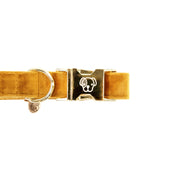 Kentucky Collar Velvet mustard Kentucky Collar Velvet mustard