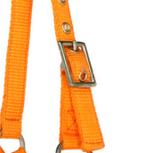 Norton Halter Mini Adjustable Orange Norton Halter Mini Adjustable Orange