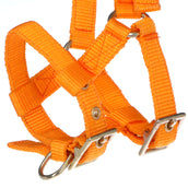 Norton Halter Mini Adjustable Orange Norton Halter Mini Adjustable Orange