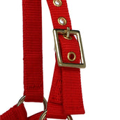Norton Halter Mini Adjustable Red Norton Halter Mini Adjustable Red