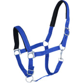 Norton Halter Lined with Neoprene Royal Blue Norton Halter Lined with Neoprene Royal Blue