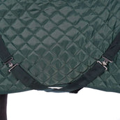 HB Showtime Show Rug Desire160gr Forest-Green HB Showtime Show Rug Desire160gr Forest-Green