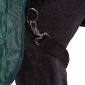 HB Showtime Show Rug Desire160gr Forest-Green HB Showtime Show Rug Desire160gr Forest-Green