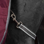 WeatherBeeta Winter Rug ComFiTec Plus Dynamic II Detach-A-Neck Medium 220g Maroon/Grey/White WeatherBeeta Winter Rug ComFiTec Plus Dynamic II Detach-A-Neck Medium 220g Maroon/Grey/White