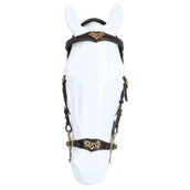 F.R.A. Hackamore Bridle Imperial Softleather Reins Havana F.R.A. Hackamore Bridle Imperial Softleather Reins Havana