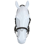 F.R.A. Cavesson Keto Leather Brown F.R.A. Cavesson Keto Leather Brown