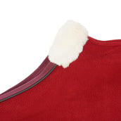 Diego & Louna Dog Rug Polar Bordeaux Diego & Louna Dog Rug Polar Bordeaux