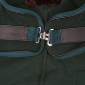 Diego & Louna Dog Rug Polar Green Diego & Louna Dog Rug Polar Green