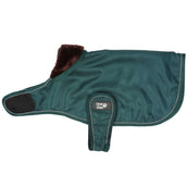 Diego & Louna Dog Rug Teddy Nylon Green Diego & Louna Dog Rug Teddy Nylon Green