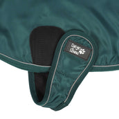 Diego & Louna Dog Rug Teddy Nylon Green Diego & Louna Dog Rug Teddy Nylon Green