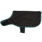 Diego & Louna Dog Rug Teddy Nylon Green Diego & Louna Dog Rug Teddy Nylon Green