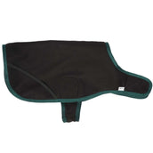 Diego & Louna Dog Rug Teddy Nylon Green Diego & Louna Dog Rug Teddy Nylon Green