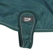 Diego & Louna Dog Rug Teddy Nylon Green Diego & Louna Dog Rug Teddy Nylon Green