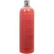 Sectolin Shampoo High Care Sectolin Shampoo High Care