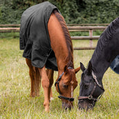 Waldhausen Outdoor Rug Nordic 50g Black Waldhausen Outdoor Rug Nordic 50g Black