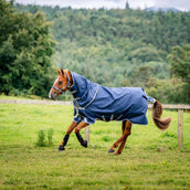 Amigo Bravo 12 Plus T/O Lite 0g Navy/Titanium Grey Amigo Bravo 12 Plus T/O Lite 0g Navy/Titanium Grey