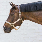 Kentucky Halter Nylon Breakaway Neck piece Brown Kentucky Halter Nylon Breakaway Neck piece Brown