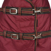 Premiere Outdoor Rug 600D 200g Marroon Banner Premiere Outdoor Rug 600D 200g Marroon Banner