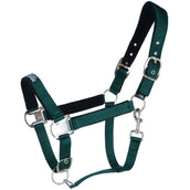 Agradi Horse Halter Athletic Fir Green Agradi Horse Halter Athletic Fir Green