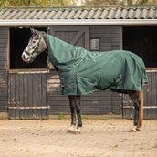 Agradi Horse Neck Cover 1200D 0gr Reflective Trim Green Agradi Horse Neck Cover 1200D 0gr Reflective Trim Green