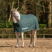 Agradi Horse Fleece Rug Economic Fir Green Agradi Horse Fleece Rug Economic Fir Green