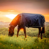 Amigo Ripstop 900D Plus 0g Witney Navy Amigo Ripstop 900D Plus 0g Witney Navy