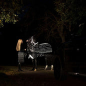 Amigo Turnout Rug FieldSafe Reflectech Plus 1200D 50g Black/Reflective/Black Amigo Turnout Rug FieldSafe Reflectech Plus 1200D 50g Black/Reflective/Black