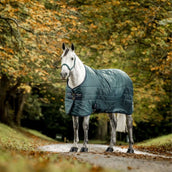 Amigo Ripstop Insulator Stable 350g Dynasty Green/Navy/Silver Amigo Ripstop Insulator Stable 350g Dynasty Green/Navy/Silver