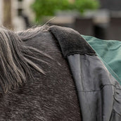 Agradi Horse Outdoor Rug 1200D 50gr Reflective Trim Green Agradi Horse Outdoor Rug 1200D 50gr Reflective Trim Green