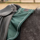 Agradi Horse Exercise Rug 1200D Reflective Trim Green Agradi Horse Exercise Rug 1200D Reflective Trim Green